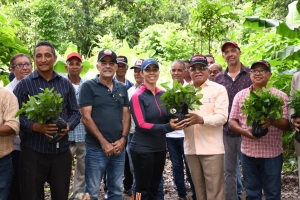 Cooperativas de San Francisco reciben plantas para seguir renovando y fomentando los cafetales del pa&iacute;s v&iacute;a INDOCAFE