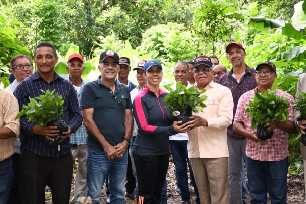 Cooperativas de San Francisco reciben plantas para seguir renovando y fomentando los cafetales del país vía INDOCAFE