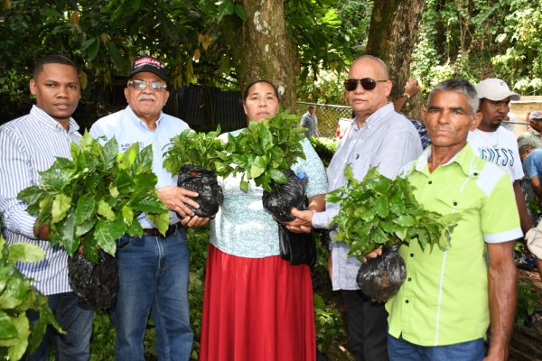 Entrega de más de 25,000 plantas de café en La Salvia, Los Quemados, Bonao: un éxito para el desarrollo cafetalero de la zona