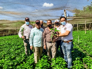 Director INDOCAFE entrega 50 mil plantas de caf&eacute; a productores de Jarabacoa