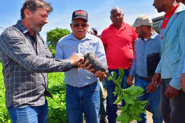 INDOCAFE e INDUBAN realizan entrega de plantas de café resistentes a la Roya en Rancho Arriba