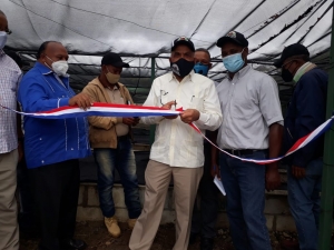 Director INDOCAFE encabeza inauguraci&oacute;n de moderna germinadora de caf&eacute; en San Juan