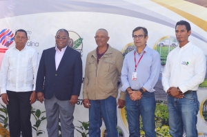 Primera entrega Plantas de Caf&eacute; &ldquo;Variedad Catimor T-8667