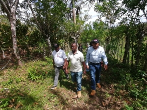 INDOCAFE va al rescate de 37 mil tareas de caf&eacute; afectadas por Fiona