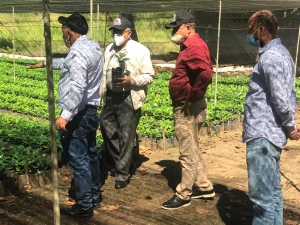 Director y Sub-Director T&eacute;cnico del INDOCAFE visitan Vivero de Gran Producci&oacute;n en San Jos&eacute; de Ocoa
