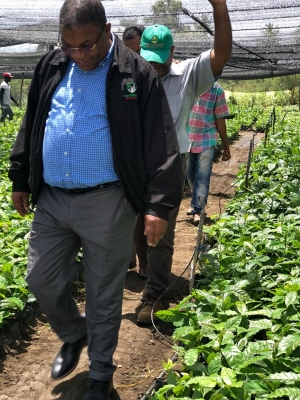 El Director Ejecutivo de INDOCAFE, ingeniero Marino Su&aacute;rez, realiza recorrido por zonas cafetaleras regi&oacute;n Sur del pa&iacute;s.