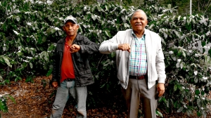 Director Ejecutivo Indocafe visita asociaciones cafetaleras en el Noroeste