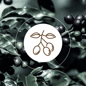 Apoyo a la Producci&oacute;n