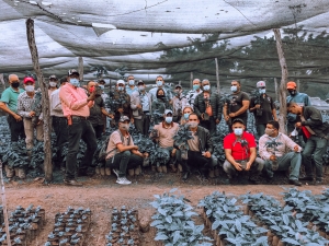 INDOCAFE entrega 400 mil plantas de caf&eacute; a productores de la Regi&oacute;n Sur del pa&iacute;s